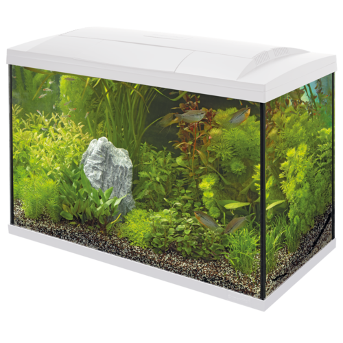 SuperFish SuperFish Start 100 tropical kit wit SuperFish SuperFish Start 100 tropical kit wit