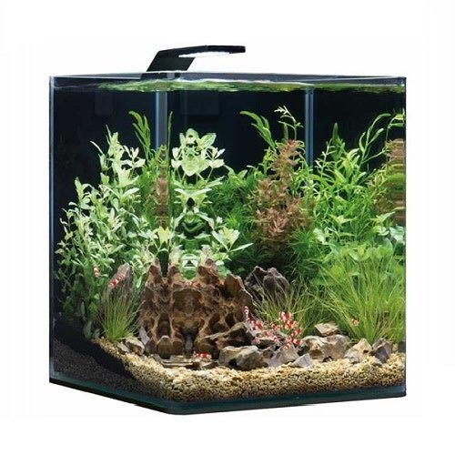 Dennerle Dennerle Nano Cube Complete+ 30 L - Style LED M Dennerle Dennerle Nano Cube Complete+ 30 L - Style LED M