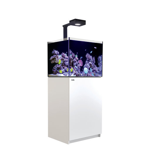 RedSea Red Sea REEFER 170 G2+ Deluxe System - White (incl. 1 x RL 90 & Mount Arm) RedSea Red Sea REEFER 170 G2+ Deluxe System - White (incl. 1 x RL 90 & Mount Arm)