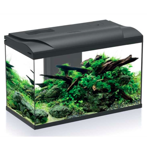 HS Aqua HS Aqua Aquarium Platy bio 70 led zwart 59x31x39 cm HS Aqua HS Aqua Aquarium Platy bio 70 led zwart 59x31x39 cm
