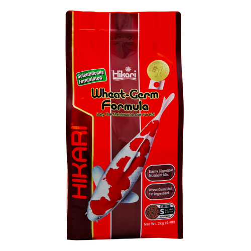 Hikari Hikari Wheat-germ mini 2 kg Hikari Hikari Wheat-germ mini 2 kg