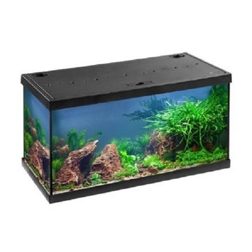 Eheim Eheim Aquarium Aquastar 54 Zwart 60X30X36 cm LED Eheim Eheim Aquarium Aquastar 54 Zwart 60X30X36 cm LED