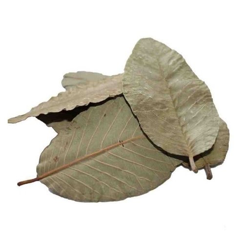 Ceramic Nature Ceramic Nature Guave leaves 15x Ceramic Nature Ceramic Nature Guave leaves 15x