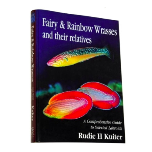 DJM Fairy and Rainbow Wrasses guide DJM Fairy and Rainbow Wrasses guide