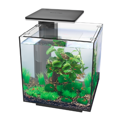 SuperFish SuperFish Qubiq 30 pro zwart SuperFish SuperFish Qubiq 30 pro zwart