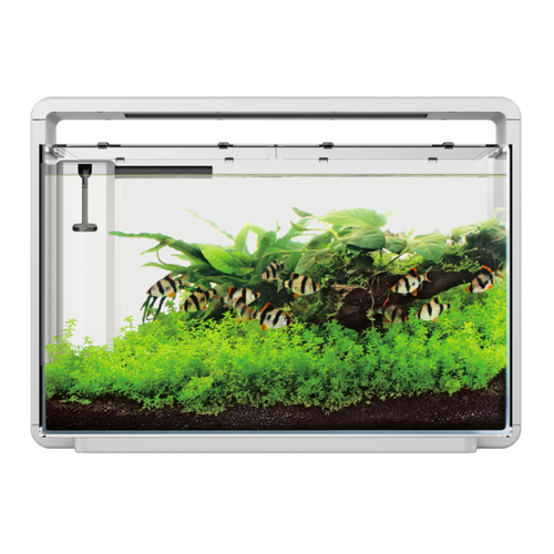 SuperFish SuperFish Home 65 aquarium wit SuperFish SuperFish Home 65 aquarium wit