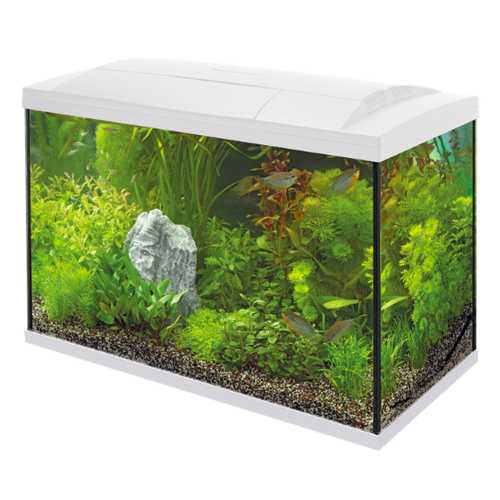 SuperFish SuperFish Start 150 tropical kit wit SuperFish SuperFish Start 150 tropical kit wit