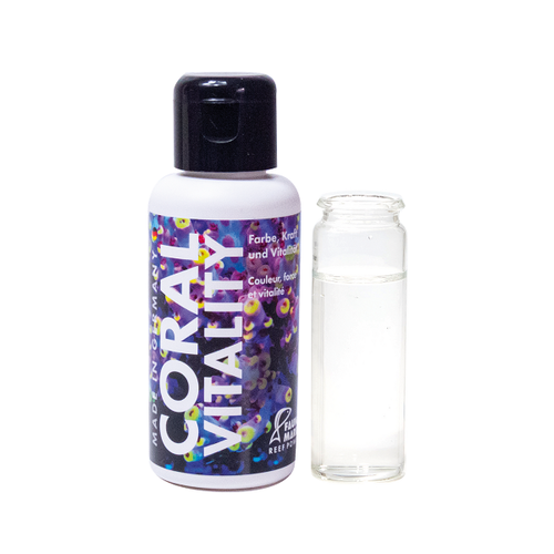 Fauna Marin Fauna Marin Coral Vitality Fauna Marin Fauna Marin Coral Vitality