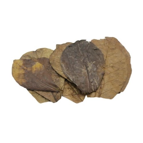 Ceramic Nature Ceramic Nature Catappa bladeren Nano 10 stuks Ceramic Nature Ceramic Nature Catappa bladeren Nano 10 stuks