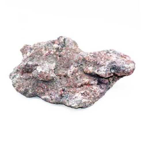 Dutch Reef Rock Dutch Reef Rock 31 2,5 Kg 36 x 23 x 12 cm Dutch Reef Rock Dutch Reef Rock 31 2,5 Kg 36 x 23 x 12 cm