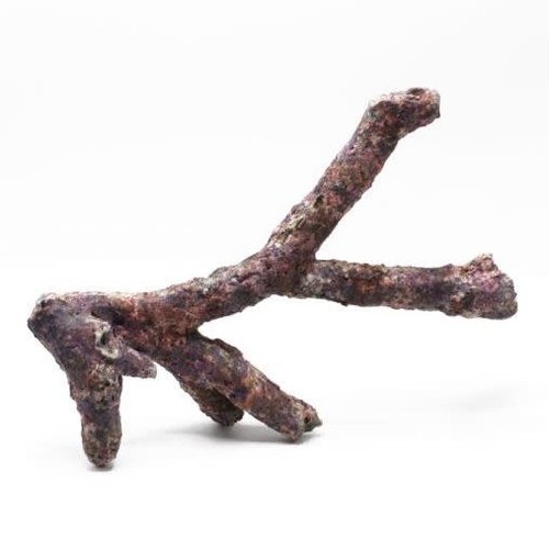 Dutch Reef Rock Dutch Reef Rock 22 0,9 Kg 36 x 30 x 8 cm Dutch Reef Rock Dutch Reef Rock 22 0,9 Kg 36 x 30 x 8 cm