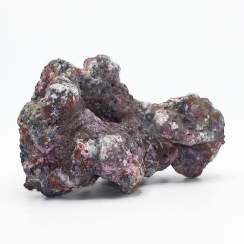 Dutch Reef Rock Dutch Reef Rock 28 1,2 Kg 21 x 15 x 13 cm Dutch Reef Rock Dutch Reef Rock 28 1,2 Kg 21 x 15 x 13 cm