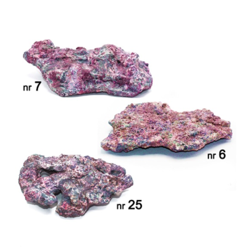 Dutch Reef Rock Dutch Reef Rock Pack Plates 6,5 Kg Dutch Reef Rock Dutch Reef Rock Pack Plates 6,5 Kg