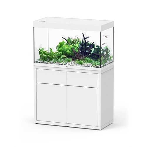 Aquatlantis Aquatlantis SUBLIME 120x60 aquarium Aquatlantis Aquatlantis SUBLIME 120x60 aquarium