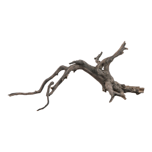 Sera Sera Scaper Root S 1 stuk à ca. 25-30 cm Sera Sera Scaper Root S 1 stuk à ca. 25-30 cm