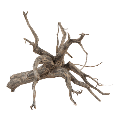Sera Sera Scaper Root M 1 stuk à ca. 30-35 cm Sera Sera Scaper Root M 1 stuk à ca. 30-35 cm