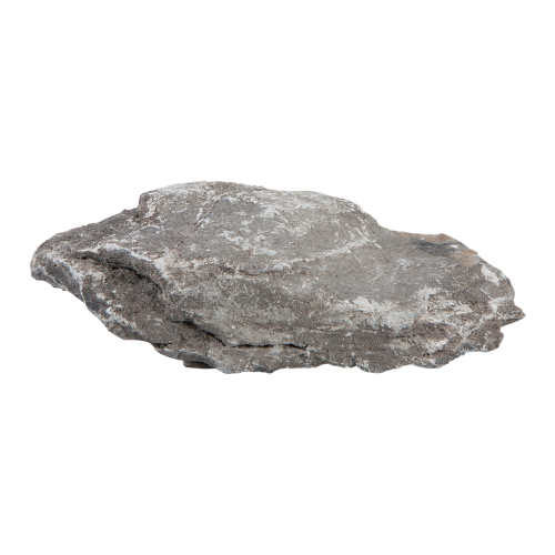 Sera Sera Rock Gray Mountain S/M 1 stuk à ca. 0,6-1,4 kg Sera Sera Rock Gray Mountain S/M 1 stuk à ca. 0,6-1,4 kg