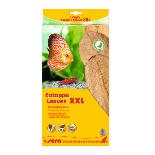 Sera Sera Catappa Leaves XXL 30 – 35 cm 10 stuks Sera Sera Catappa Leaves XXL 30 – 35 cm 10 stuks