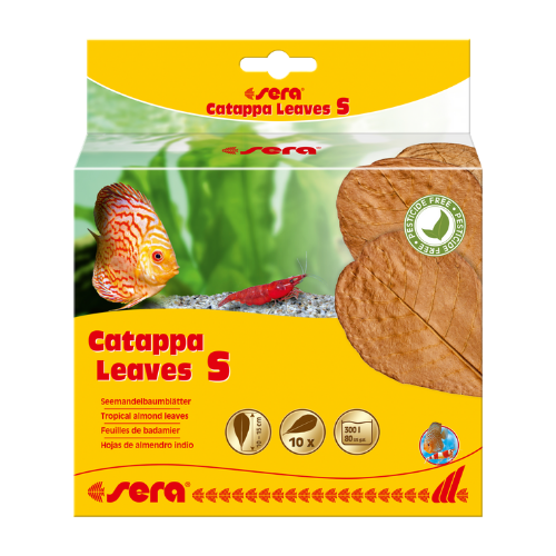 Sera Sera Catappa Leaves S 10 – 15 cm 10 stuks