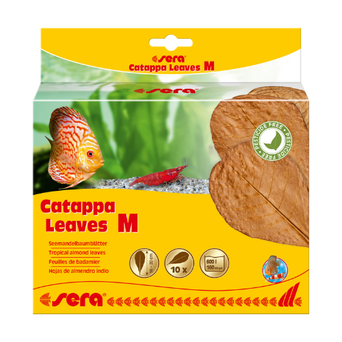 Sera Sera Catappa Leaves M 16 – 20 cm 10 stuks Sera Sera Catappa Leaves M 16 – 20 cm 10 stuks