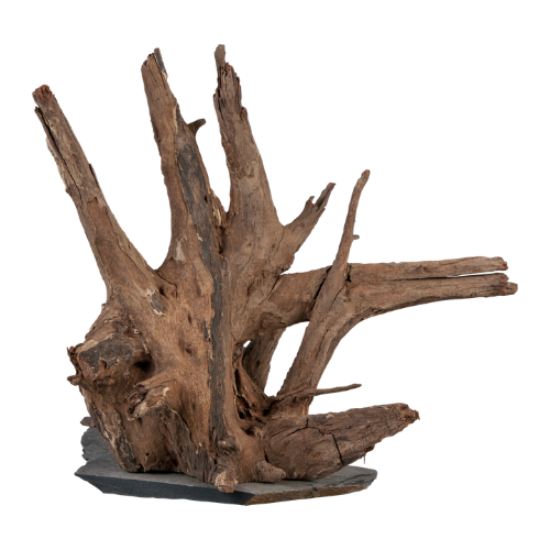 Sera Sera Scaper Wood M 1 stuk à ca. 18-20 cm Sera Sera Scaper Wood M 1 stuk à ca. 18-20 cm