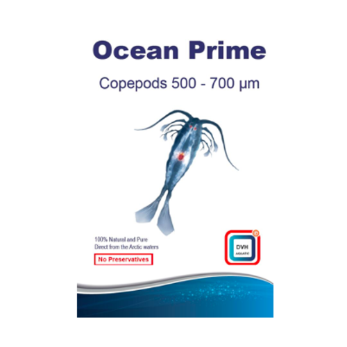 DVH Aquatic DVH Ocean Prime Copepods 500-700 microns DVH Aquatic DVH Ocean Prime Copepods 500-700 microns