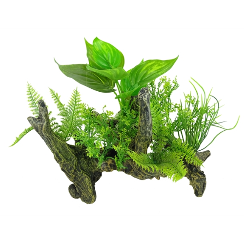 Blue Belle Pacific Blue Belle Pacific Aquascape 2 20.6x19.1x9.1 cm Blue Belle Pacific Blue Belle Pacific Aquascape 2 20.6x19.1x9.1 cm