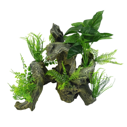 Blue Belle Pacific Blue Belle Pacific Aquascape 6 28.6x21.4x27.7 cm Blue Belle Pacific Blue Belle Pacific Aquascape 6 28.6x21.4x27.7 cm