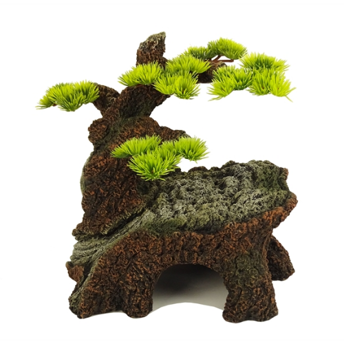 Blue Belle Pacific Blue Belle Pacific Bonsai wonder 2 21.1x17.4x22.4 cm Blue Belle Pacific Blue Belle Pacific Bonsai wonder 2 21.1x17.4x22.4 cm