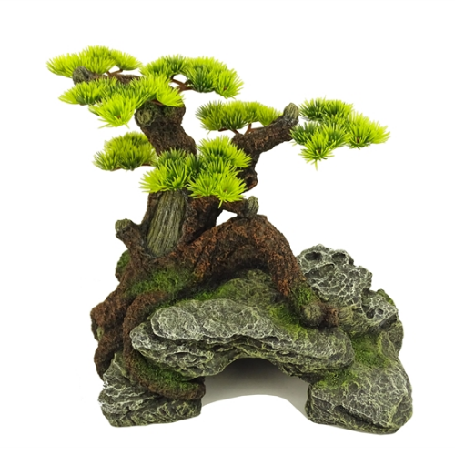 Blue Belle Pacific Blue Belle Pacific Bonsai wonder 1 24.3x21.8x24.5 cm Blue Belle Pacific Blue Belle Pacific Bonsai wonder 1 24.3x21.8x24.5 cm