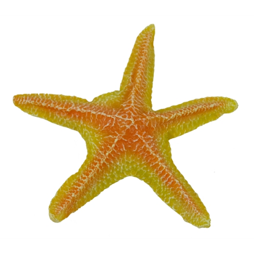 Blue Belle Pacific Blue Belle Pacific Star Fish color orange 12 cm Blue Belle Pacific Blue Belle Pacific Star Fish color orange 12 cm