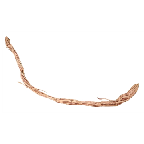 HS Aqua HS Aqua Azalea root m 50-80 cm per stuk HS Aqua HS Aqua Azalea root m 50-80 cm per stuk
