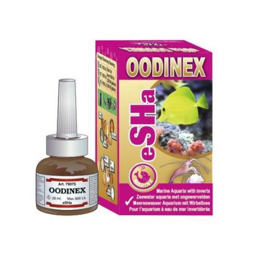 Esha Esha Oodinex Esha Esha Oodinex
