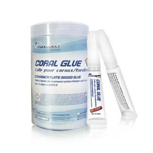 Maxspect Maxspect Glue Stick 5 gr pot a 20 stuks Maxspect Maxspect Glue Stick 5 gr pot a 20 stuks
