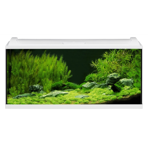Eheim Eheim Aquarium AquaproLED 180 Wit 100X40X45 cm Eheim Eheim Aquarium AquaproLED 180 Wit 100X40X45 cm
