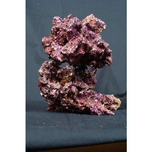 Real Reef Real Reef Rock 10kg Real Reef Real Reef Rock 10kg
