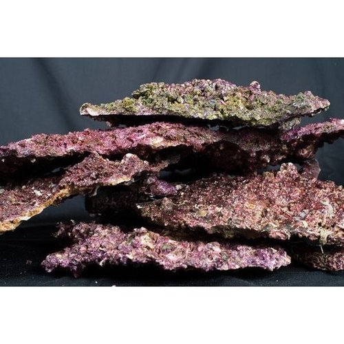 Real Reef Real Reef Shelf Rock 5kg Real Reef Real Reef Shelf Rock 5kg