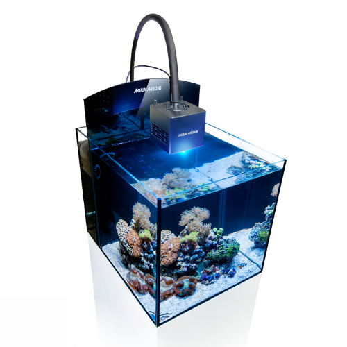 Aqua Medic Aqua Medic Blenny Qube Aqua Medic Aqua Medic Blenny Qube