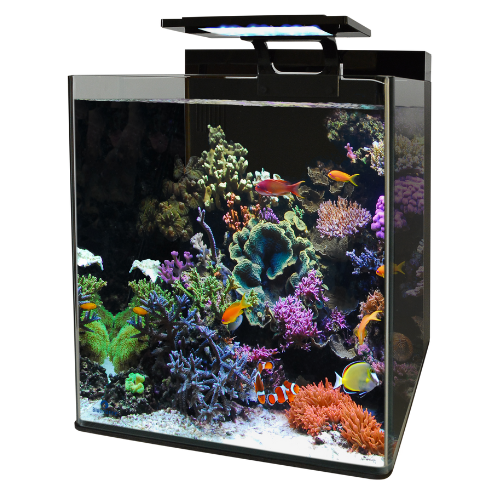 Blue Marine Blue Marine Reef 90 Aquarium Blue Marine Blue Marine Reef 90 Aquarium
