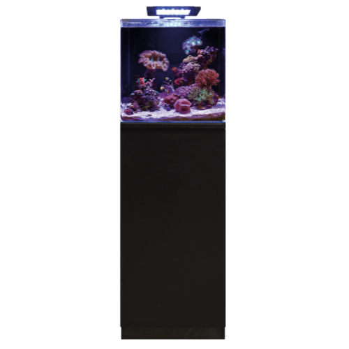 Blue Marine Blue Marine Reef 90 Meubel Zwart Blue Marine Blue Marine Reef 90 Meubel Zwart