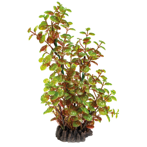 SuperFish Superfish Art Plant 25cm Rotala SuperFish Superfish Art Plant 25cm Rotala