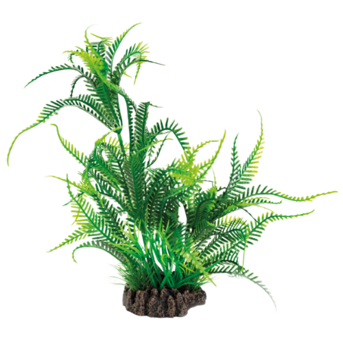 SuperFish Superfish Art Plant 25cm Microsorum SuperFish Superfish Art Plant 25cm Microsorum