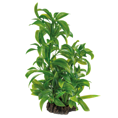 SuperFish Superfish Art Plant 25cm Dracaena SuperFish Superfish Art Plant 25cm Dracaena