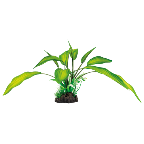 SuperFish Superfish Art Plant 25cm Cryptocoryne SuperFish Superfish Art Plant 25cm Cryptocoryne