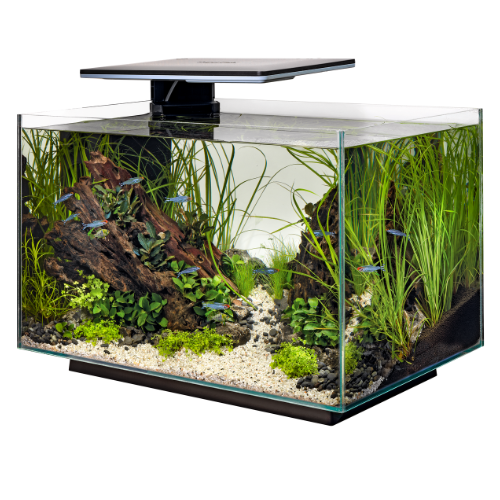SuperFish Superfish Quadro 40 Multi Colour Zwart SuperFish Superfish Quadro 40 Multi Colour Zwart