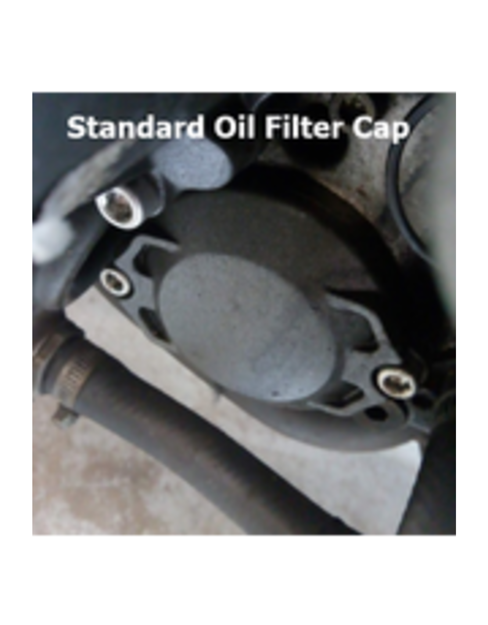 AP Workshops Service Kit Gen 1 RSV 01-03, Tuono Standard oil filter