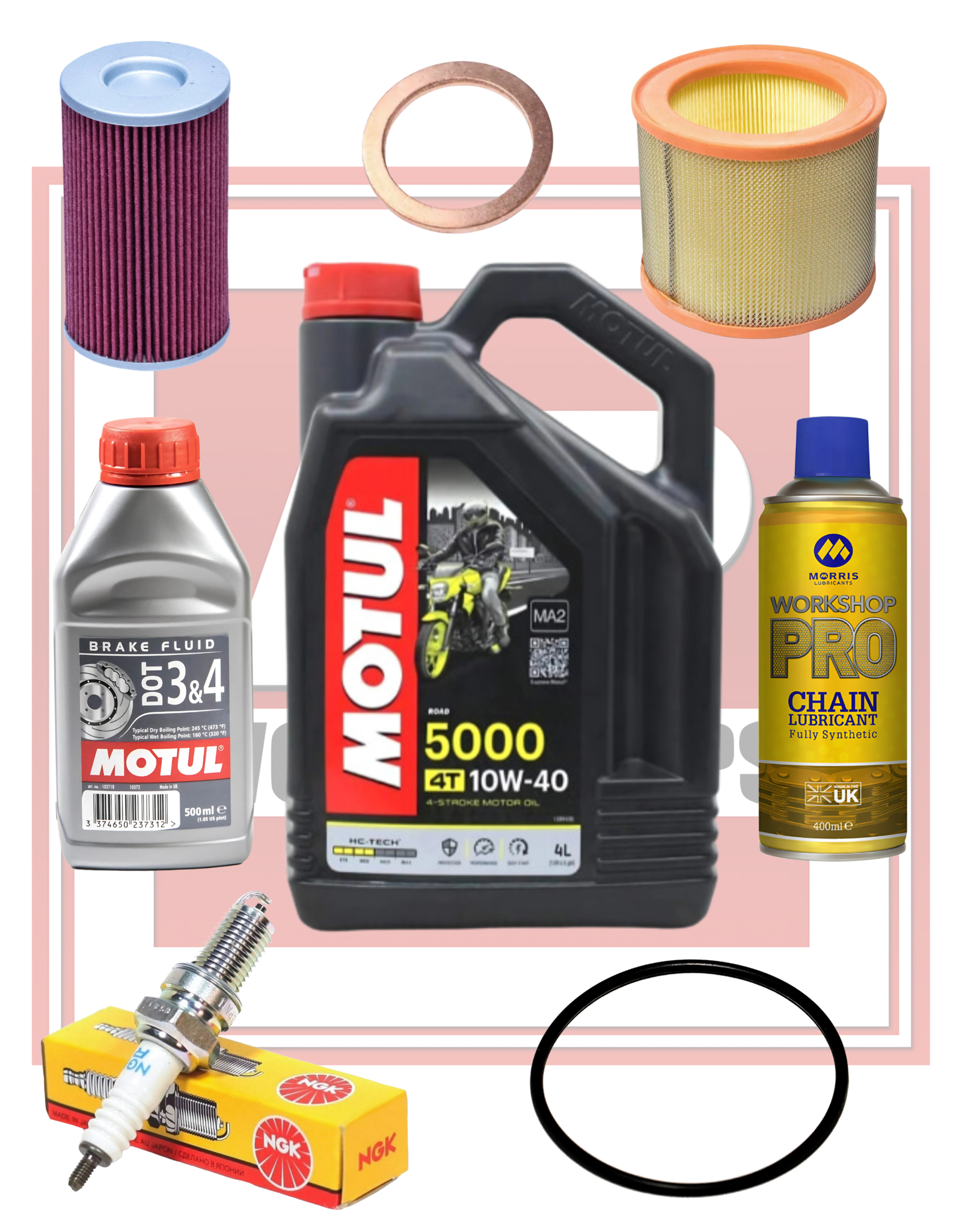 AP Workshops Full Service Kit Gen 1 RSV 98-00 Extended Filter