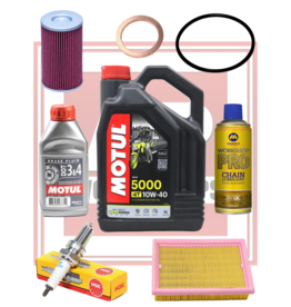 AP Workshops Service Kit Gen 2 RSV/Tuono extended oil filter