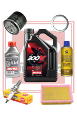 AP Workshops Full Service Kit RSV4 09-10