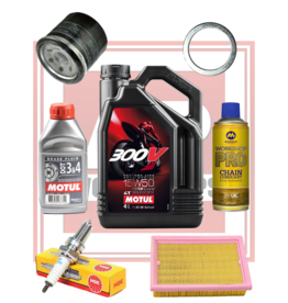 AP Workshops Full Service Kit RSV4 09-10
